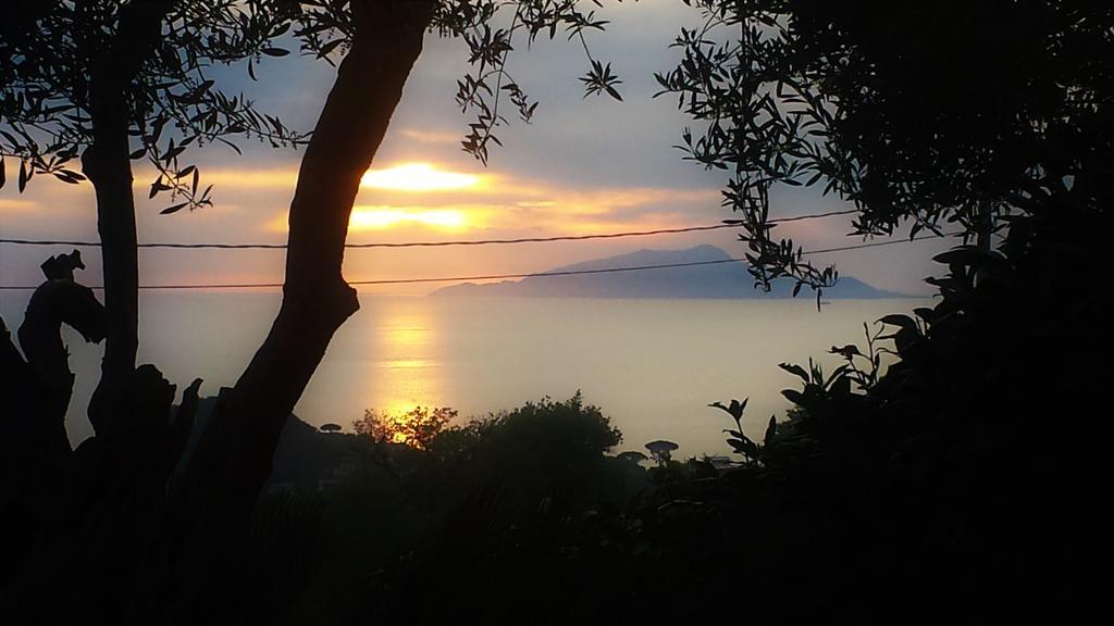 Villa Talea SantʼAgata sui Due Golfi Buitenkant foto